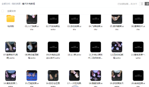 魔术扑克教程-琪斌资源